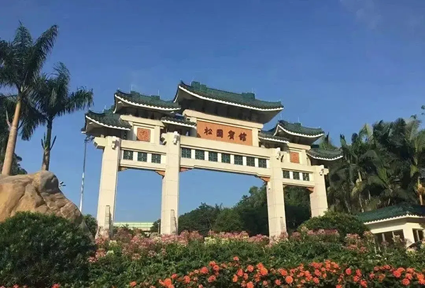 休闲人造草坪